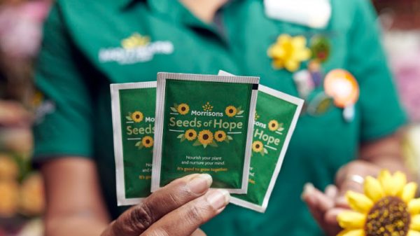 Morrisons to give away 25m sunflower seeds to customers