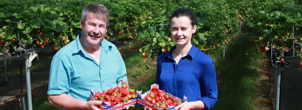 Tesco discounts 400 tonnes of surplus strawberries