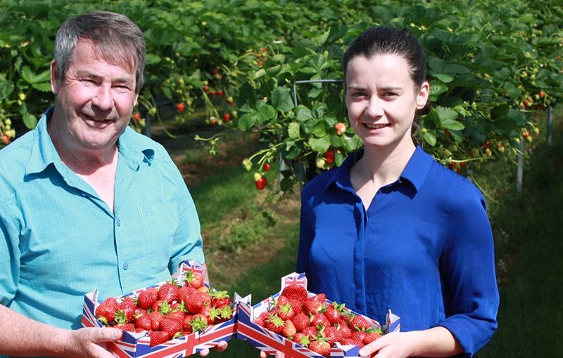 Tesco discounts 400 tonnes of surplus strawberries