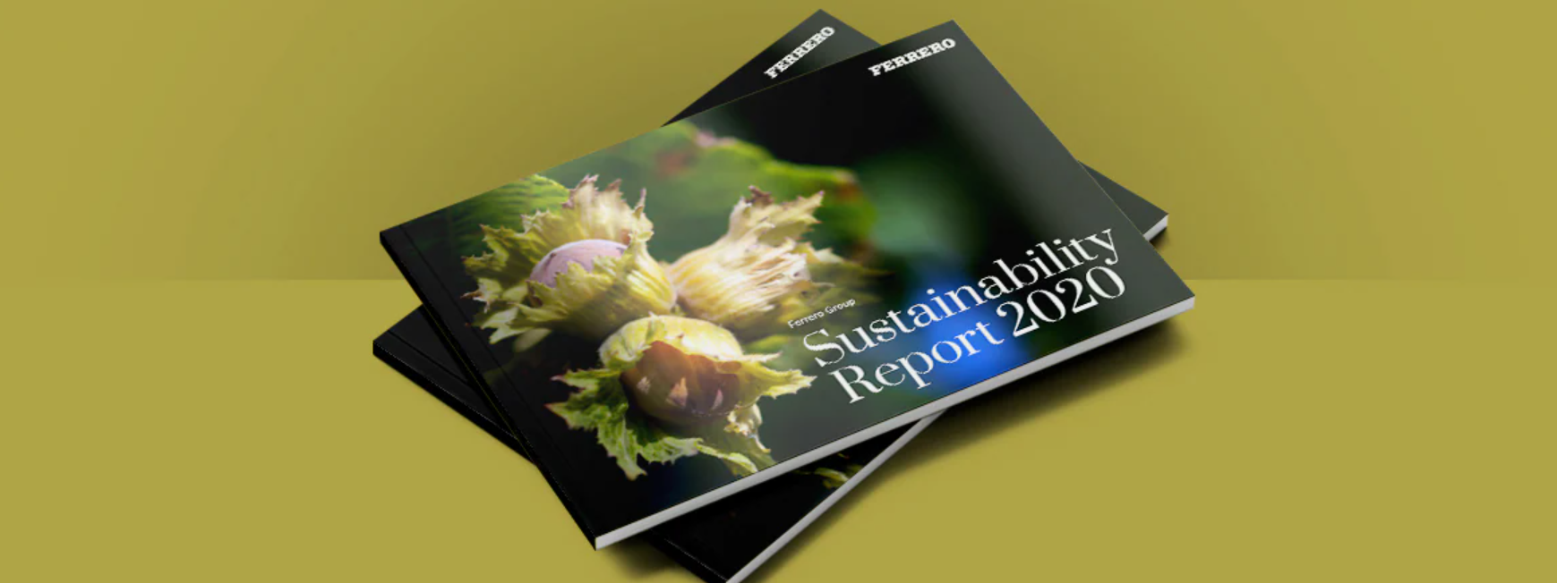 Ferrero publishes sustainability report