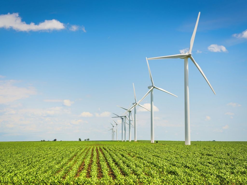 Tesco launches windfarm in Scottish Highlands
