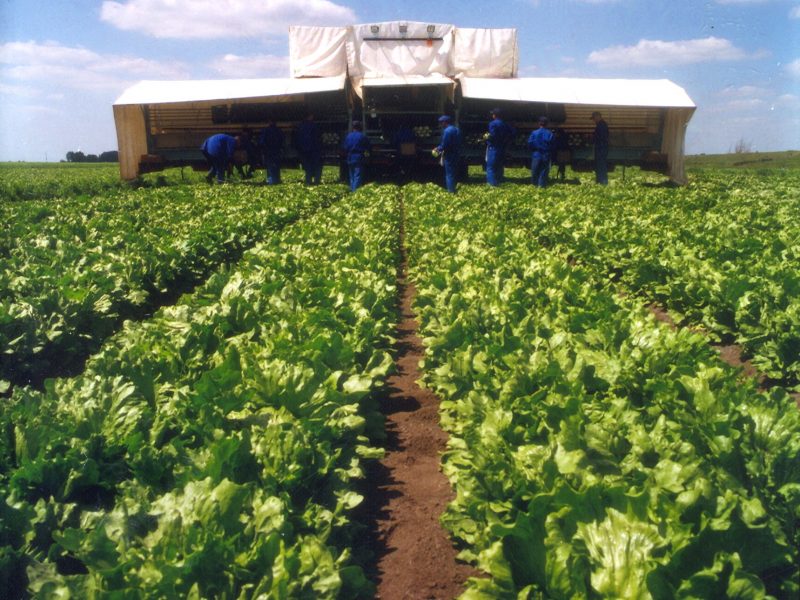 NFU urges government action on labour shortages