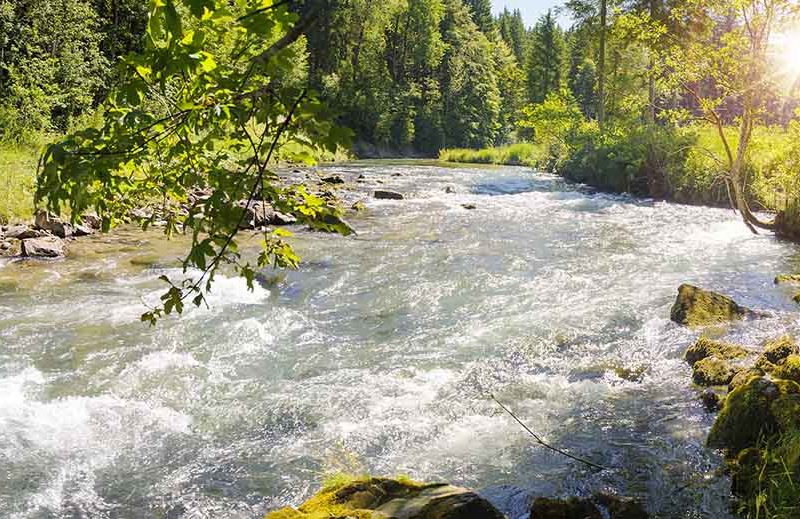 Mars commits to achieving water balance in production sites