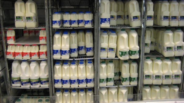 Paynes Dairies ‘struggling’ with lorry driver shortage