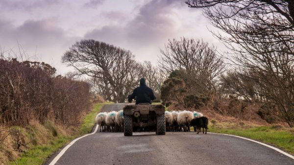 Scottish government launches loan scheme for farmers and crofters