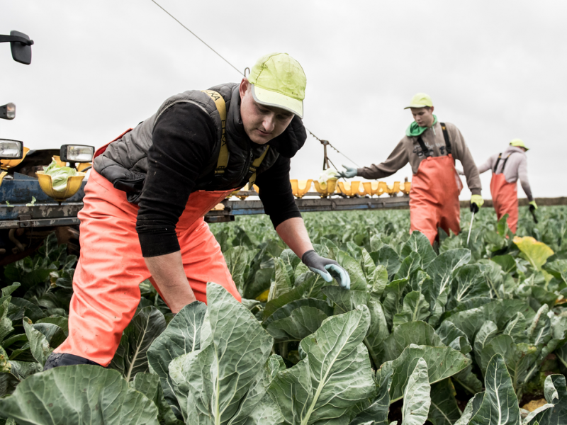 NFU calls on government for help to tackle workforce shortages