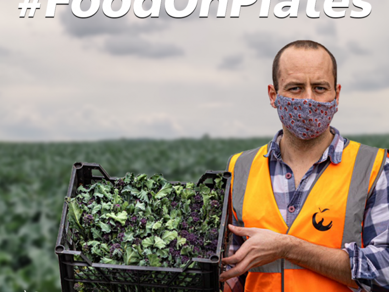 FareShare demands govt to extend £5m food waste funding with new campaign