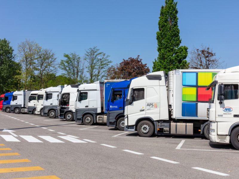 ‘Relax immigration rules to combat HGV driver shortage’, logistics firm CEO says