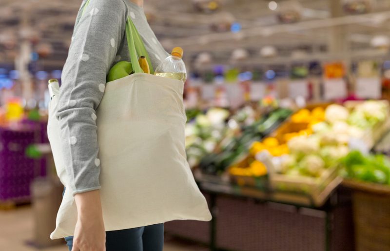 Two thirds of businesses have no plan for sustainability, research reveals