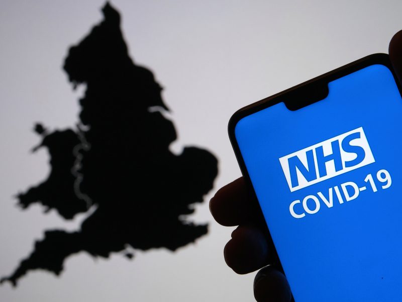 Pingdemic ‘**** show’ stalls UK recovery