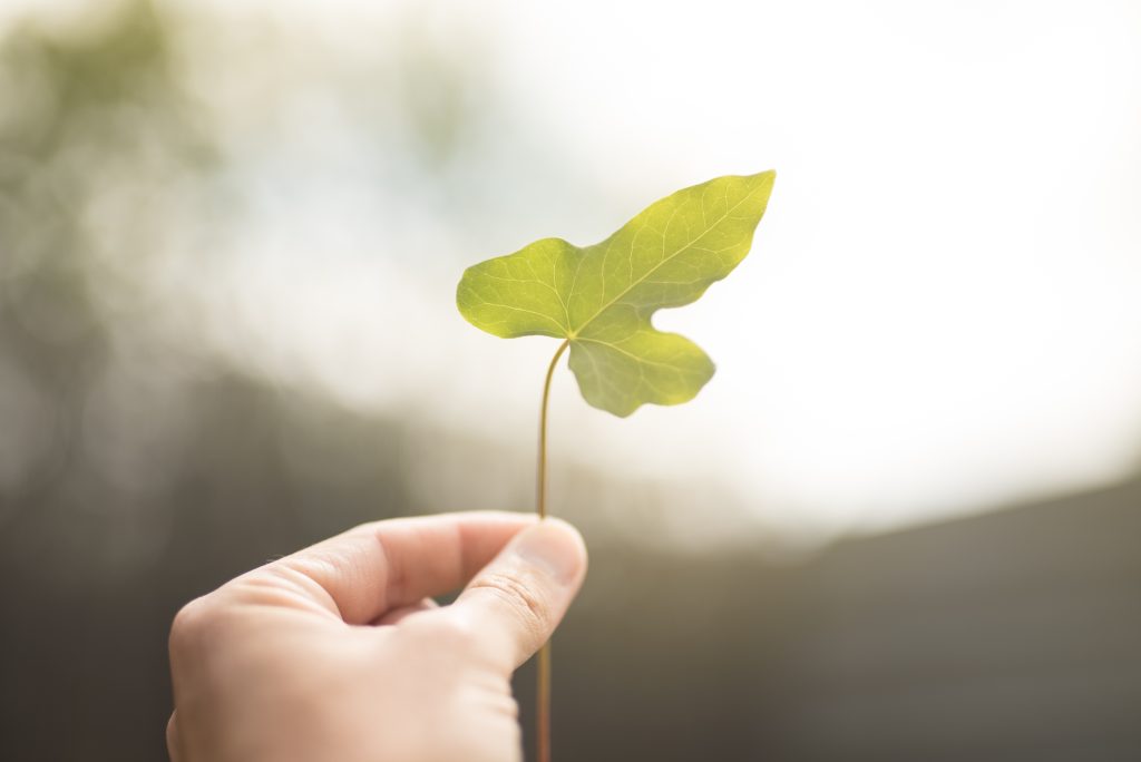 Neighbourly launches Seeds of Change programme in partnership with major brands