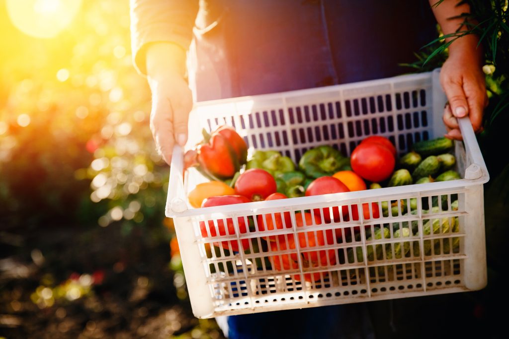 The government has announced the launch of its new Trade and Agriculture Commission. 