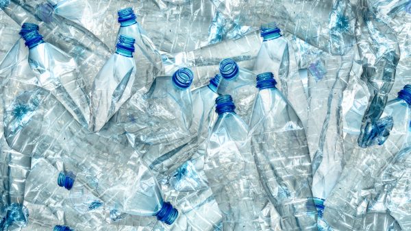 Princes is set to remove 900 tonnes of plastic and 1100 tonnes of carbon emissions from its annual production. 