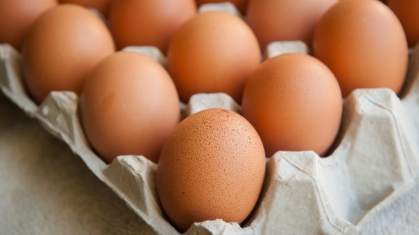 A petition against imported eggs has gained 35,000 votes on Change.org since its launch this month. 