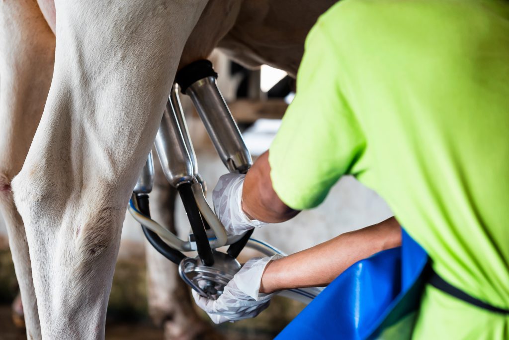 Nutrition giant Glanbia is to sell its 40 per cent stake in Ireland’s biggest milk processor as part of a shift to its core divisions