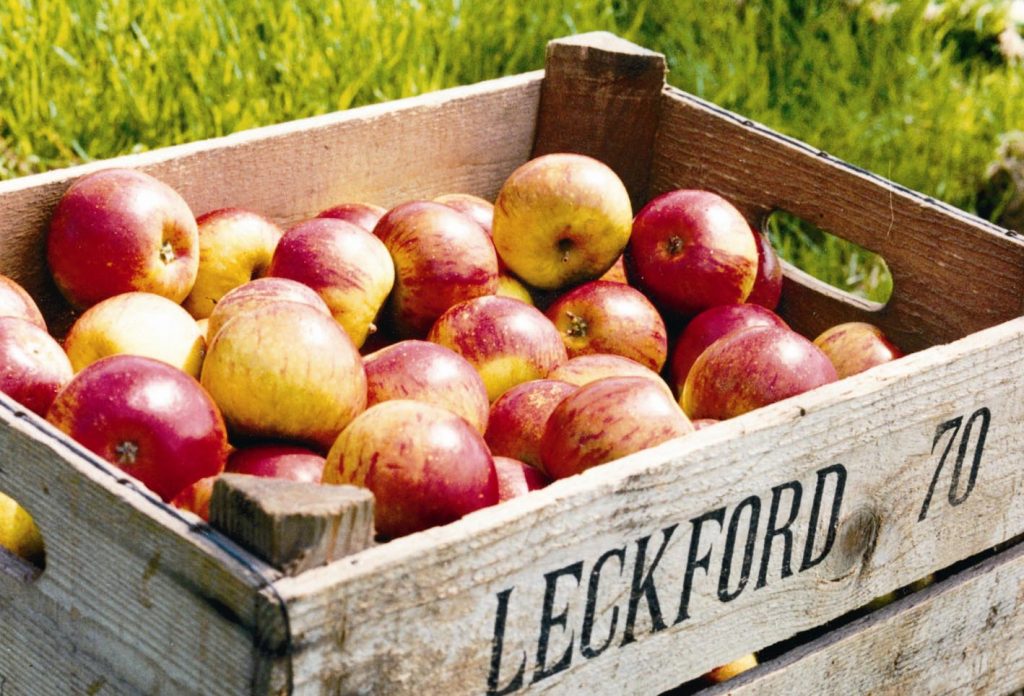 Waitrose is set to use its Leckford Estate farm as a “test bed” for innovation in its race to net zero.   