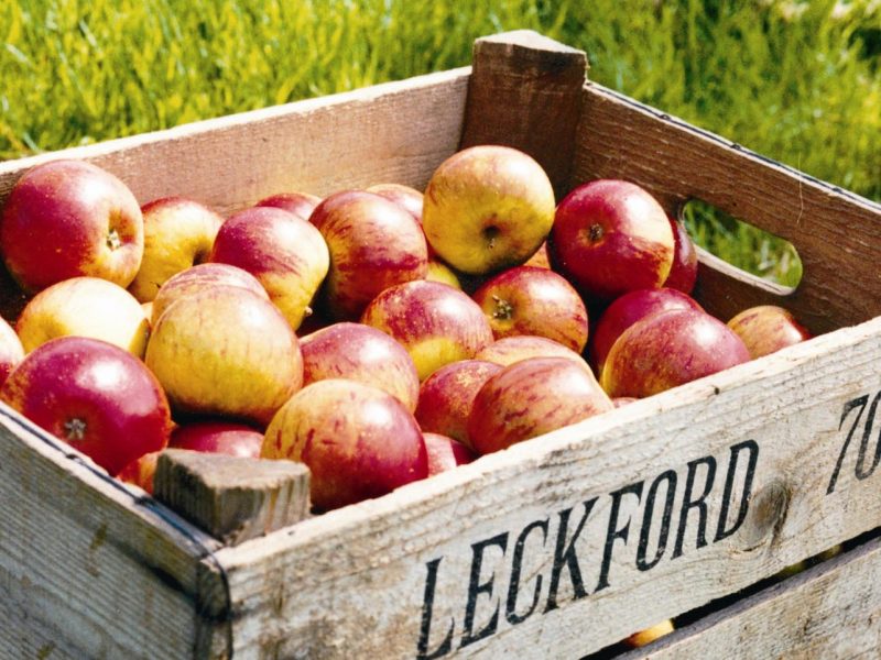 Waitrose is set to use its Leckford Estate farm as a “test bed” for innovation in its race to net zero.