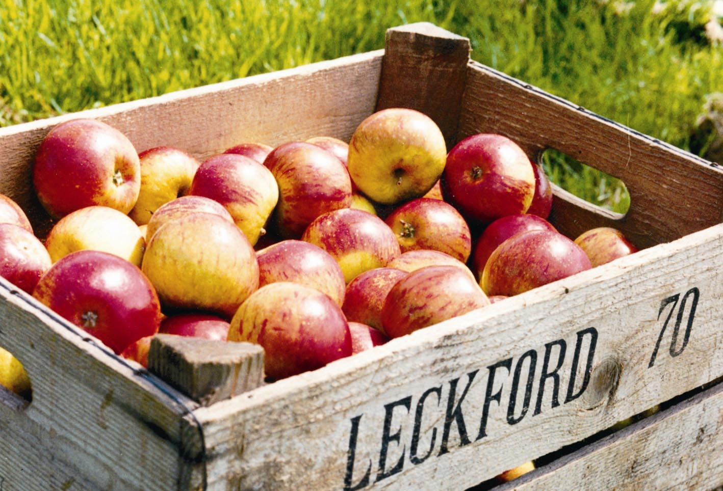 Waitrose Leckford Farm accelerates race to net zero Grocery Gazette