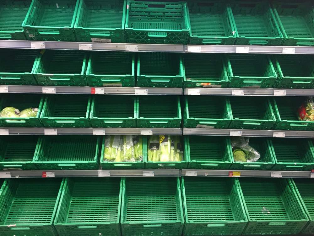 Green supermarket shelves empty of fresh produce.