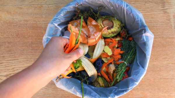 Food waste inside of a bin