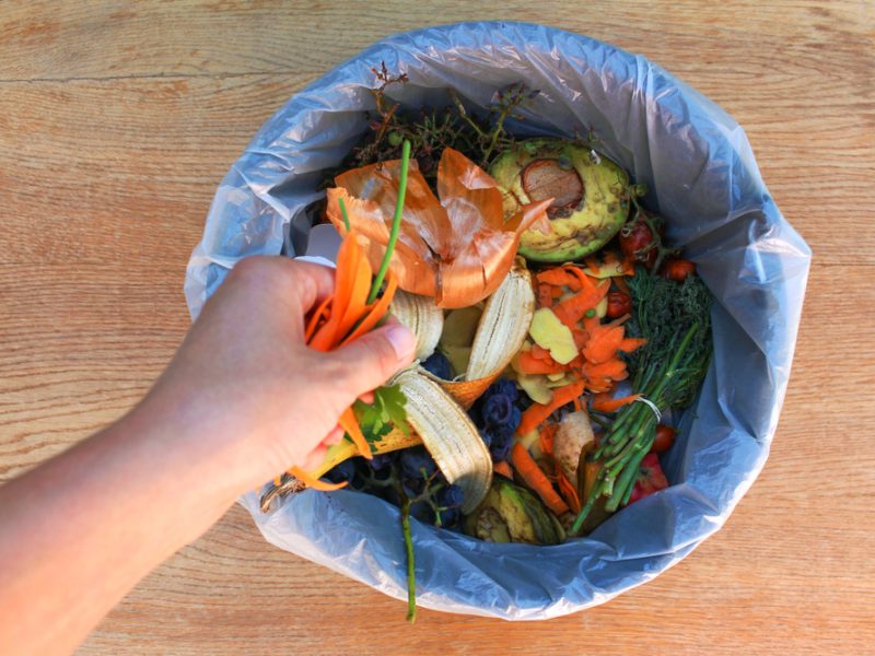 Food waste inside of a bin