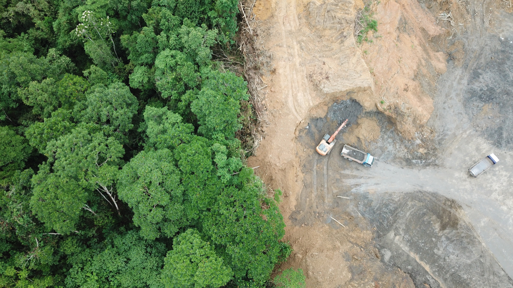 Cranes and tractors in a deforested clearing in the Amazon.