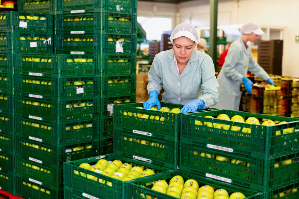 A warehouse worker organises crates of food produce.
