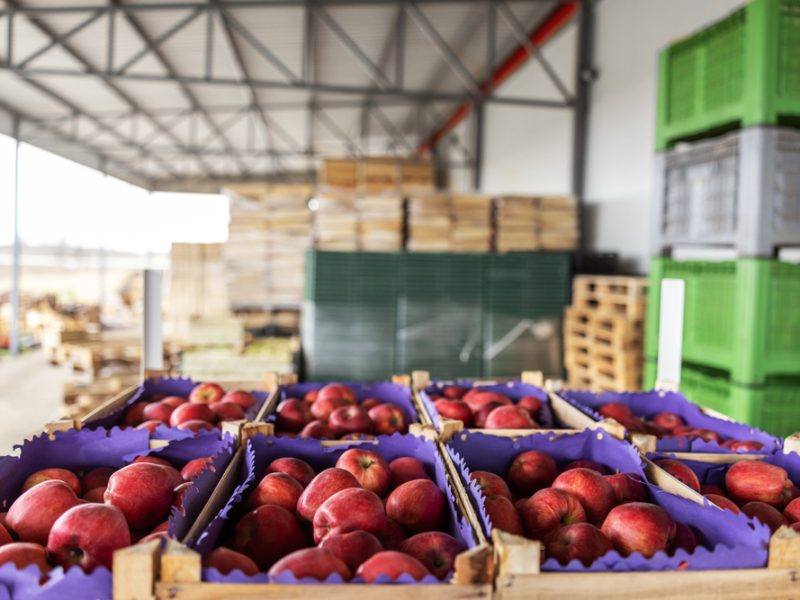 Crates of apples between supplier and retailer.
