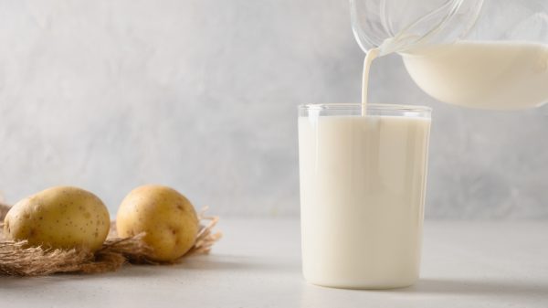 A bag potatoes lie next to a glass of potato milk.