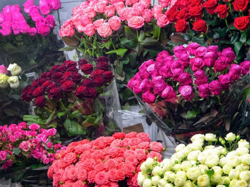 Bouquets of roses.
