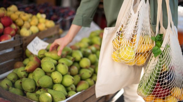 Customer shopping with a reusable bag