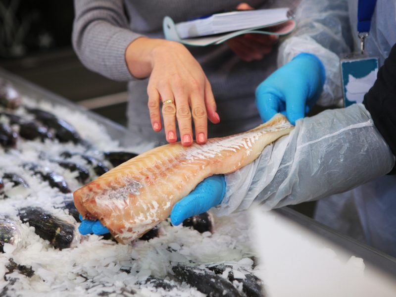 Fish supplier
