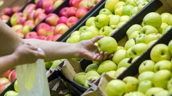 Woman selecting fruit at a store
