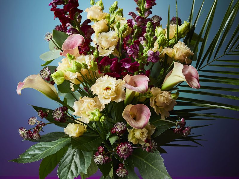 Waitrose Wrap Free Calla Lily
