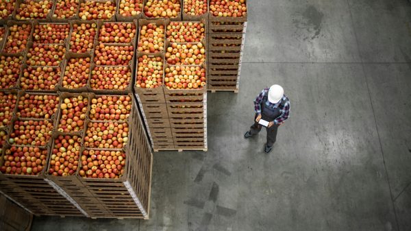 A food sector worker in a fruit warehouse.