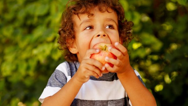 boy eating apple