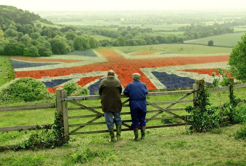 Aldi supplier field UK