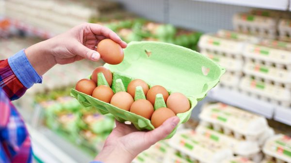 A hand picks out an egg from a carton in a supermarket.