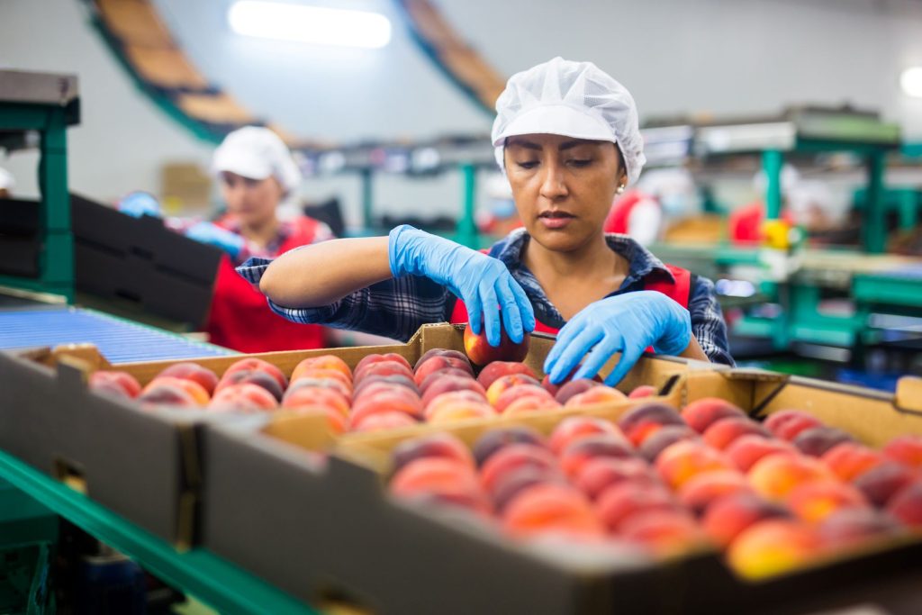 woman working in food