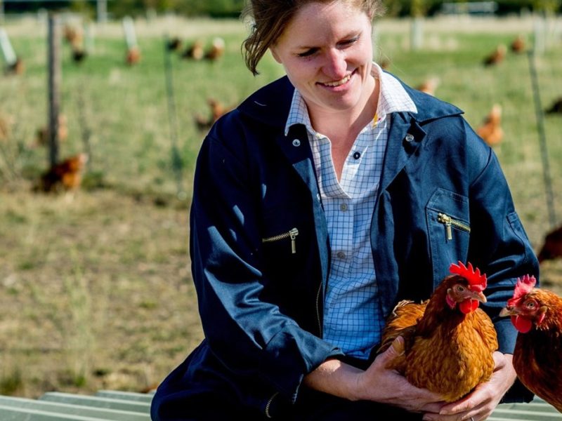 Tesco egg farmers