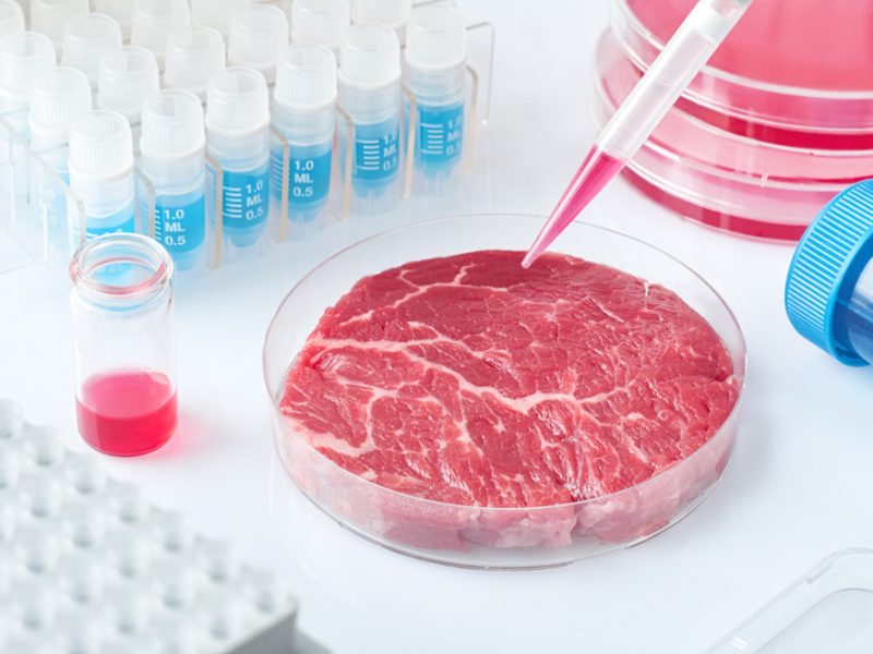 Lab-grown meat