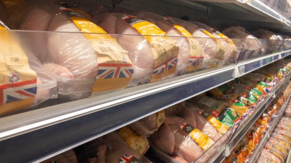 Rows of British chickens in a supermarket.