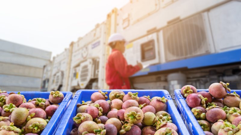 Grocery Gazette speaks to IMS Evolve director for global retail  Jason Murphy, to discuss the limitations of “sniff tests” and how  technological intervention along supply chains could be the future for mitigating food waste.