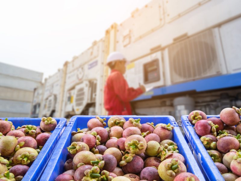 Crates of mangosteen along the supply chain.