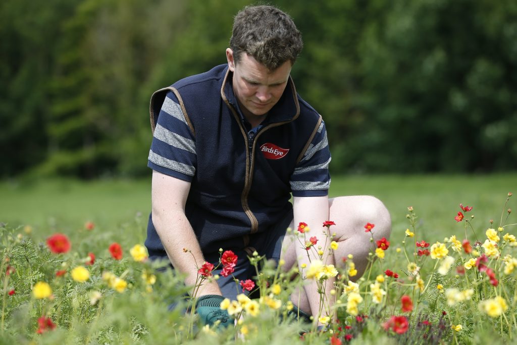 Birds Eye employee planting flowers