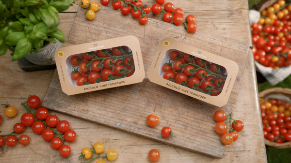 M&S recyclable tomatoes packaging