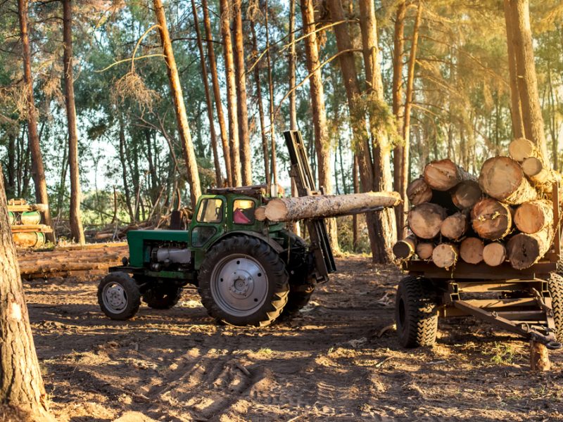 A tractor deforesting timber.