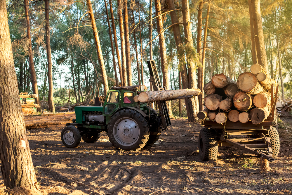 A tractor deforesting timber.