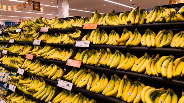 Sainsbury's store - bananas on shelves
