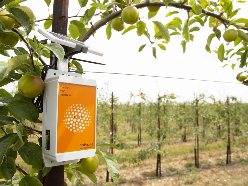 M&S and Agrisound team up